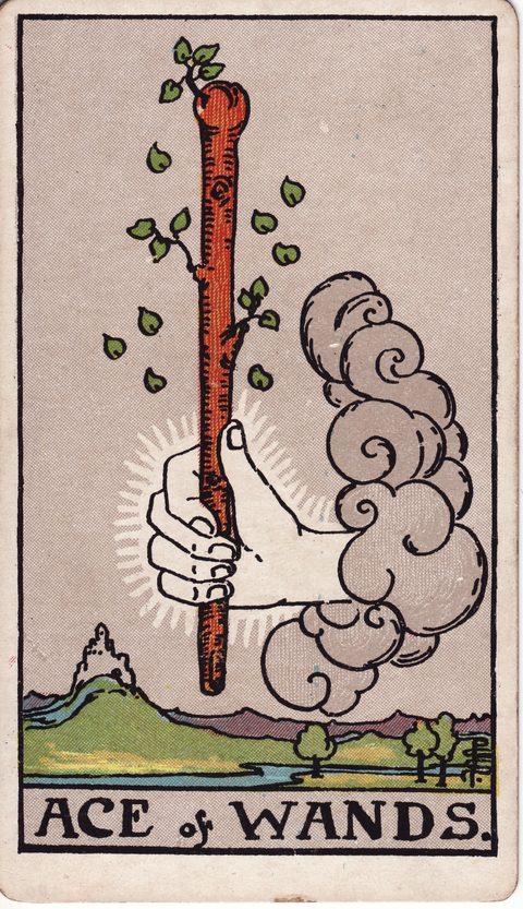 ワンドのエース(Ace of Wands)のカード画像。ライダー版タロット
