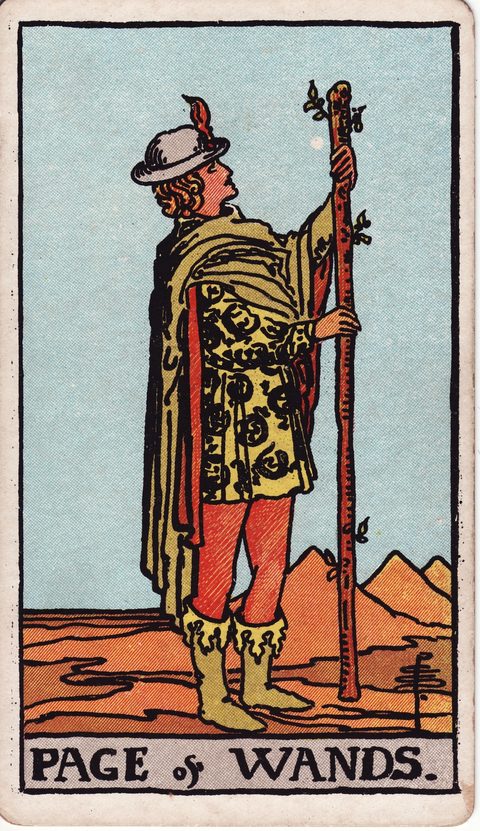 ワンドのペイジ(Page of Wands)のカード画像。ライダー版タロット